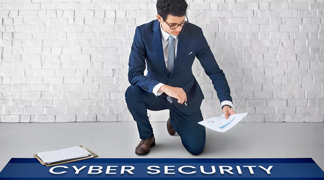 Empowering Cyber Hygiene - A Comprehensive Guide to Safeguarding Personal and Organizational Data